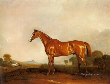 Un chasseur de châtaignes dans un cheval de course de paysage John Ferneley Snr Peinture à l'huile